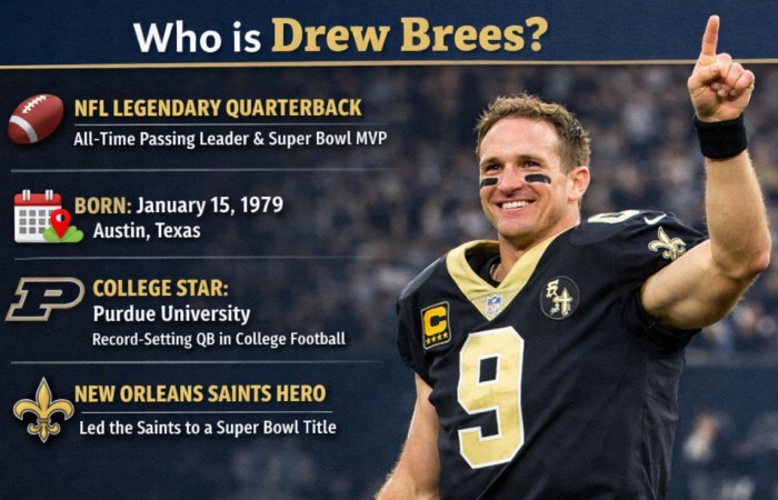 who is drew brees_